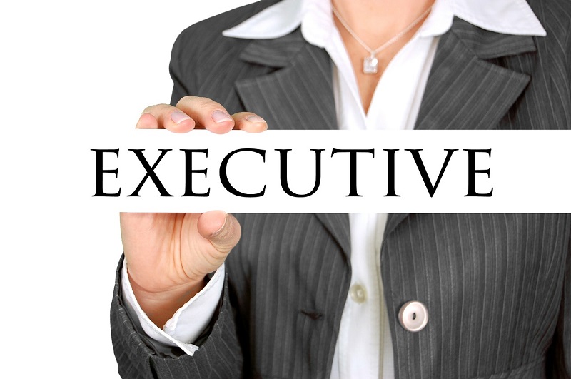 seo executive